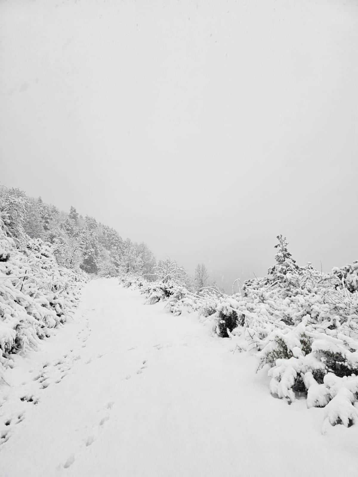 Saldes Pedraforca Saldés Exterior foto